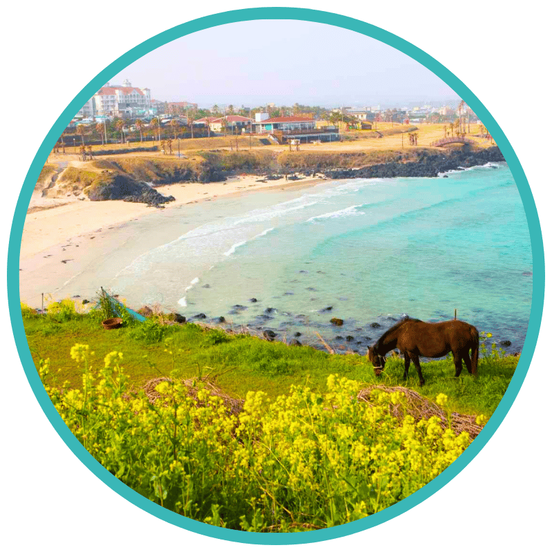 Hamdeok Beach Hamdeok Beach WOLO Travel